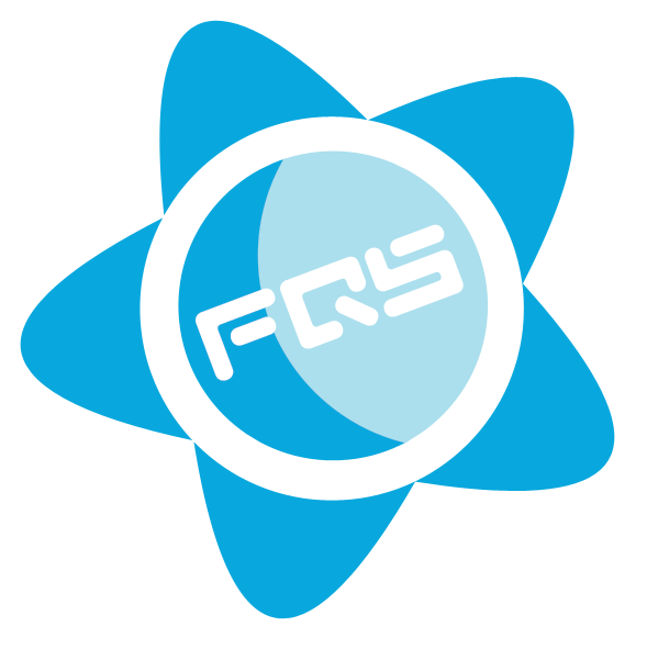 FeQSoft logó